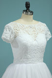 2024 vestidos de boda A-Line Bateau Cap mangas de tul cremallera de la espalda tribunal tren
