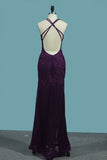 2024 Mermaid Prom Dresses Tulle Scoop Espalda abierta con apliques Sweep Train