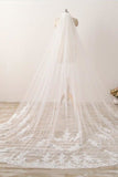 Elegante cordón largo de tul de 3M con apliques Velo de novia nupcial V12