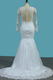 2024 Tulle Long Sleeves Sirena con apliques capilla tren vestidos de novia