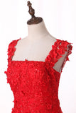 2022 Off-The-hombro vestidos de baile Tulle vestido de bola con cremallera Applique Volver