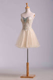 2024 Precioso Vestidos de Fiesta Una línea de novia corto Mini color Champagne